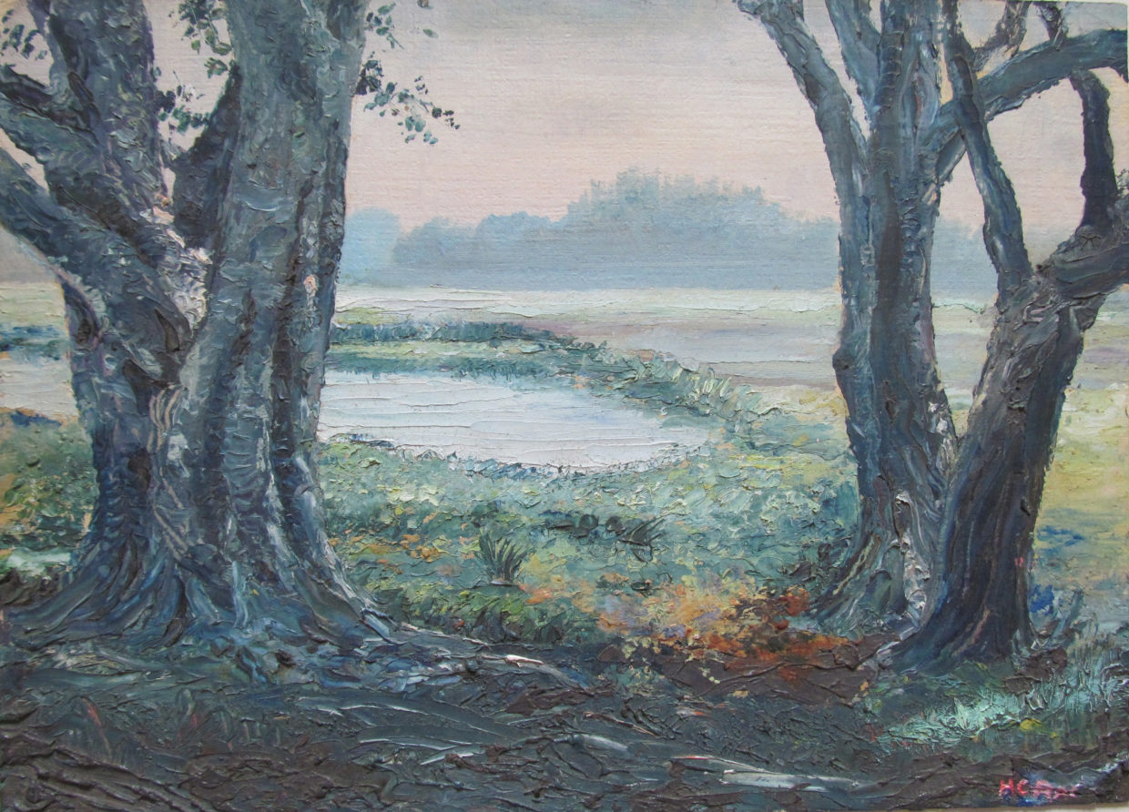 H. C. Rai – Oil Landscapes