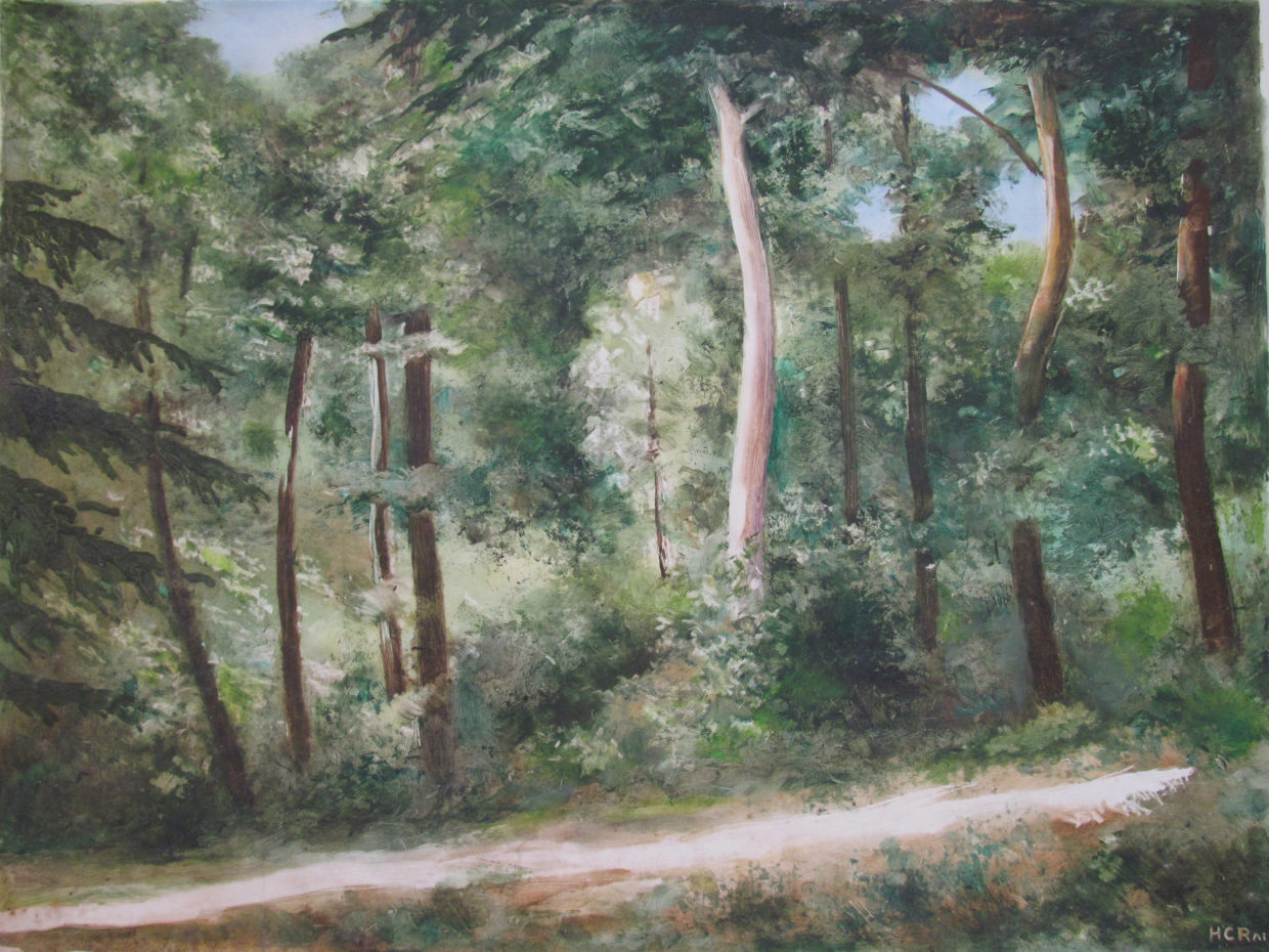 H. C. Rai – Oil Landscapes