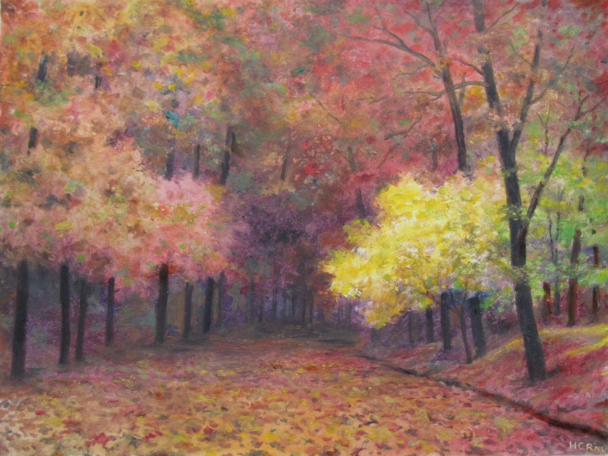 H. C. Rai – Oil Landscapes