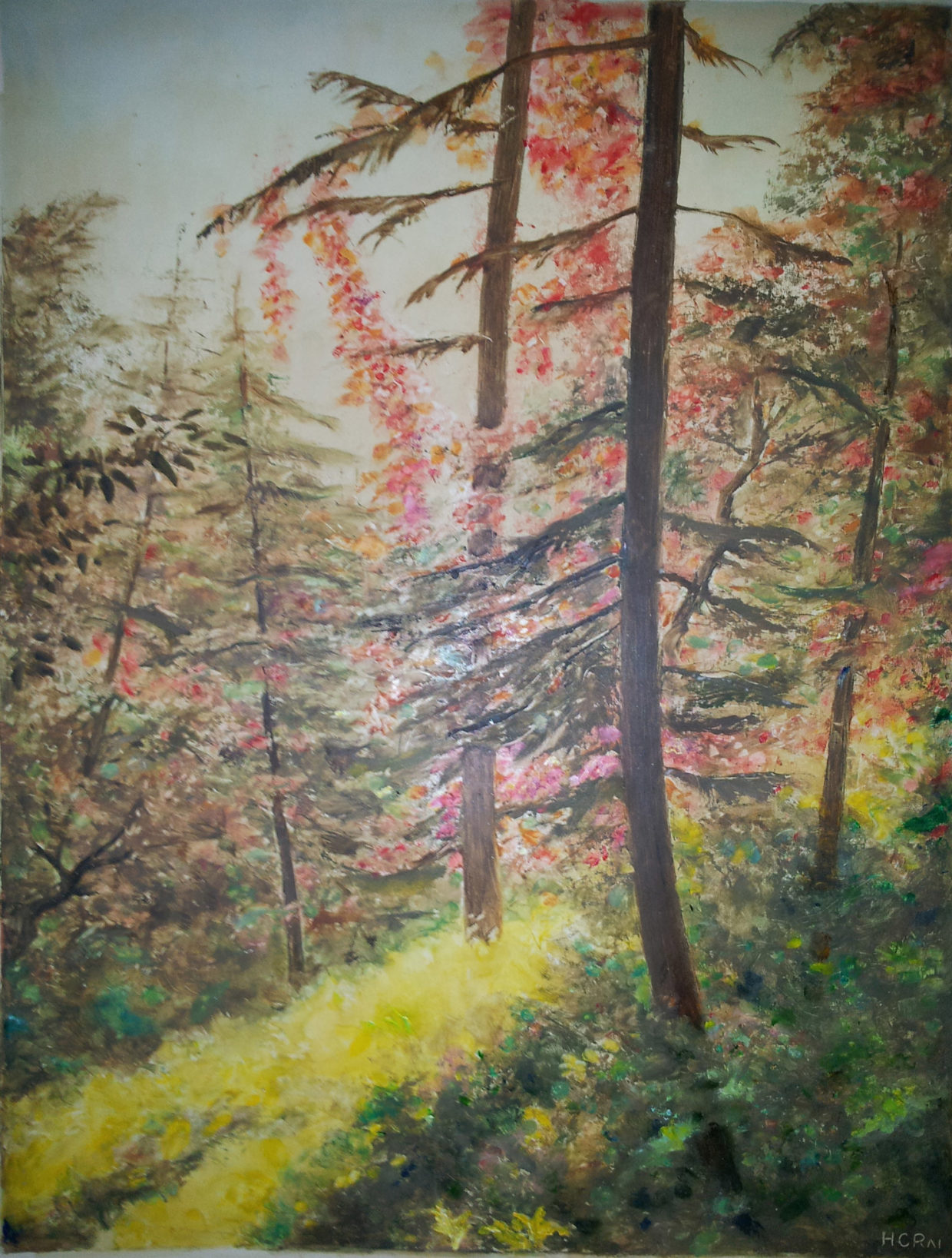 H. C. Rai – Oil Landscapes