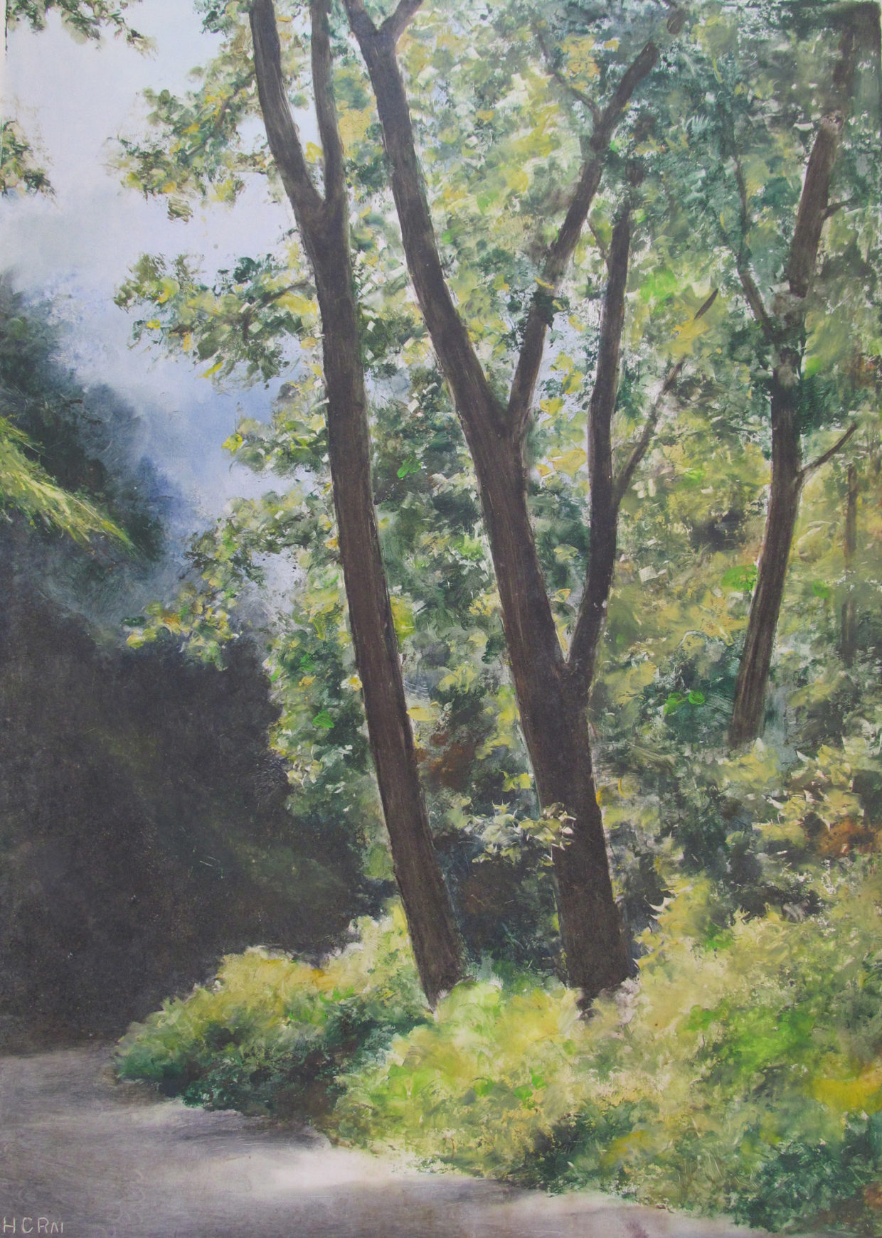H. C. Rai – Oil Landscapes