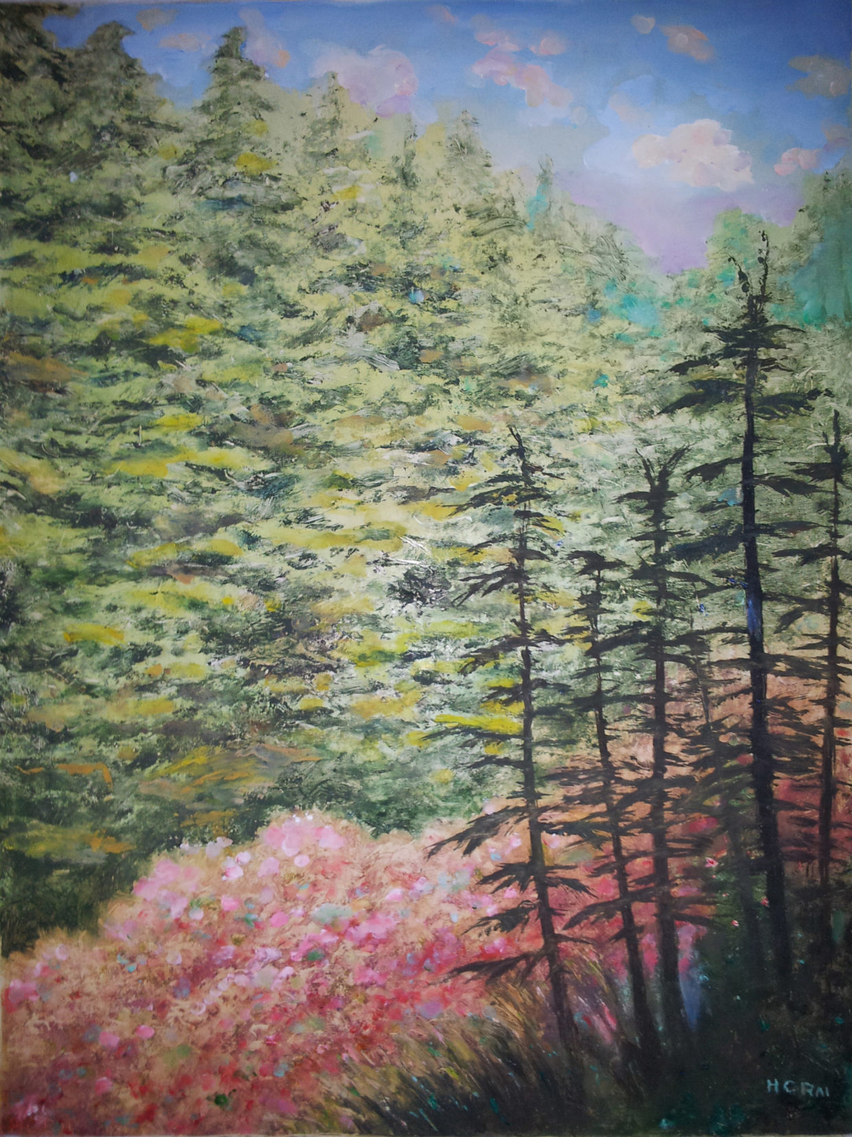 H. C. Rai – Oil Landscapes