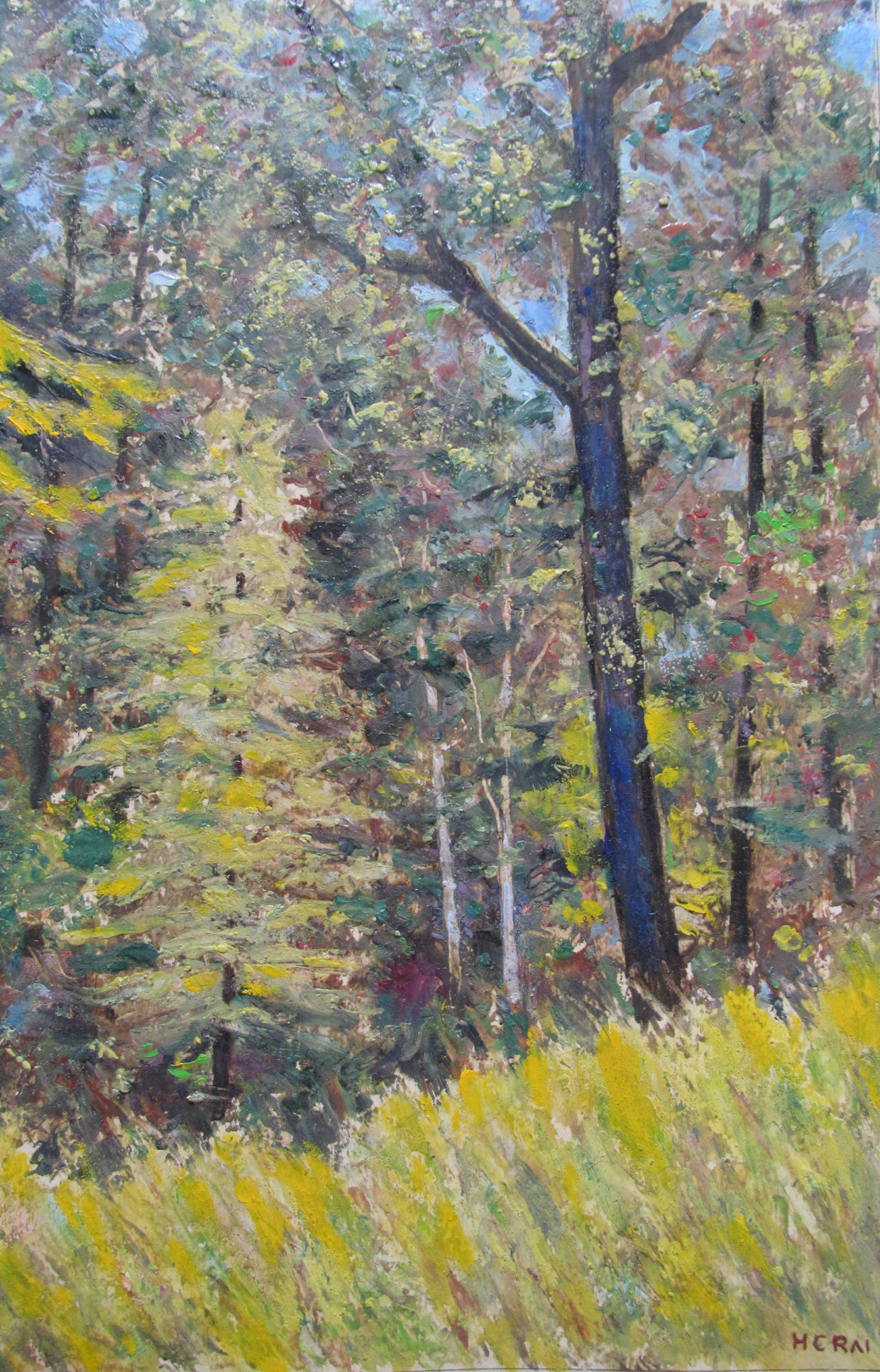 H. C. Rai – Oil Landscapes