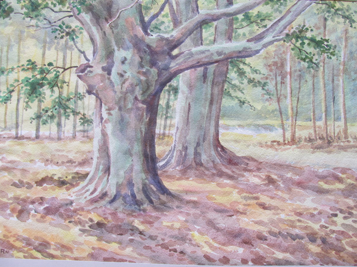 H. C. Rai – Water Colors